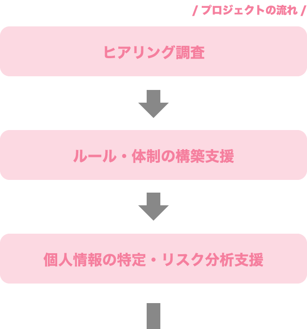 ヒアリング調査、ルール・体制の構築支援、個人情報の特定・リスク分析支援