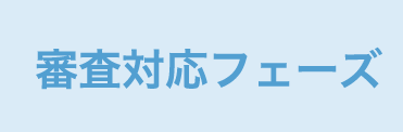 審査対応フェーズ