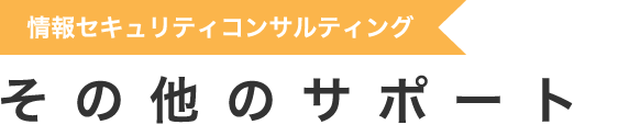 情報セキュリティコンサルティング（その他のサポート）