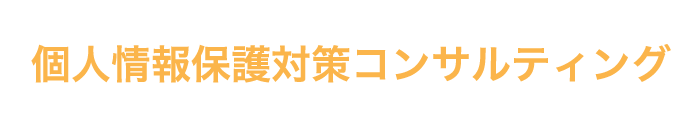 個人情報保護対策コンサルティング